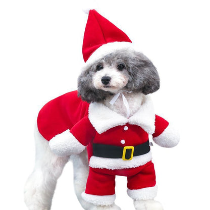 Christmas Pets Costume