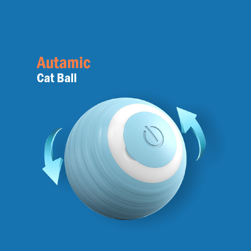 Cat Teasing Automatic Ball