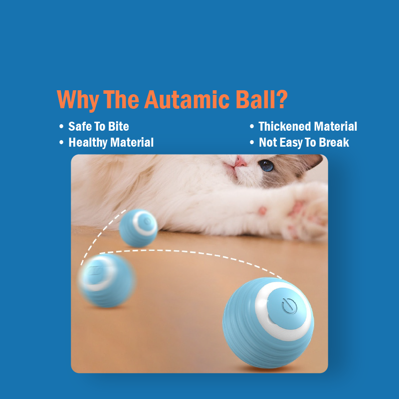 Cat Teasing Automatic Ball